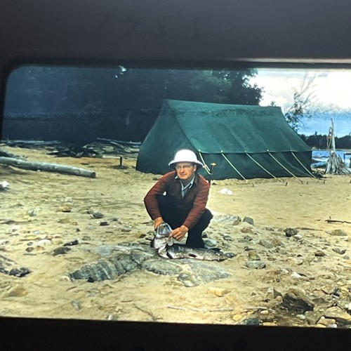 Foto diapositiva vintage - foto, 35
