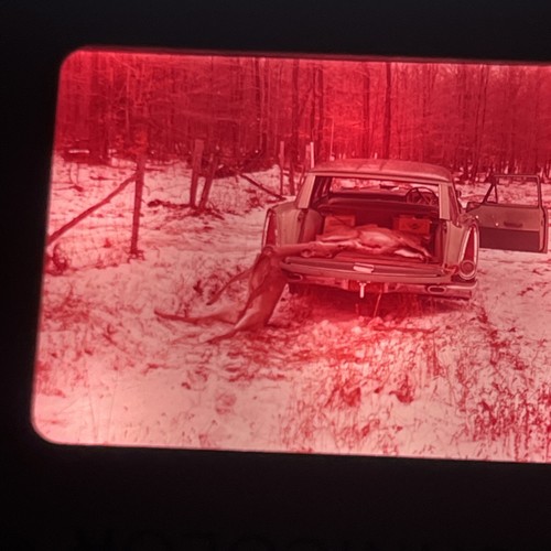 Vintage slide photo - mm,