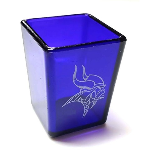 Minnesota vikings shot - minnesota,