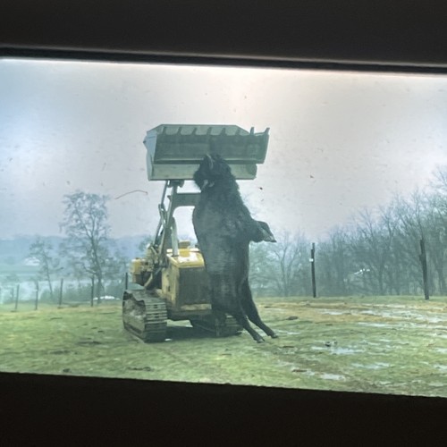 Vintage slide photo - vintage, 35