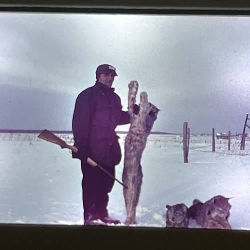 Vintage 35mm slide photo - 35mm,